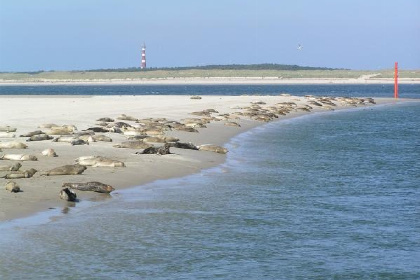 002 Gelegen in het dorp Buren op Ameland vindt u dit mooi gelegen 6p. vakantiehuis