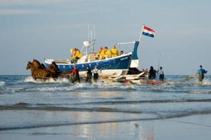 014 Prachtig 6 persoons vakantiehuis op Ameland