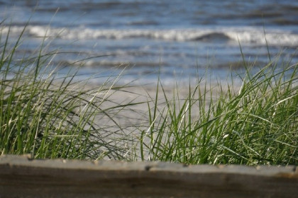 049 Heerlijk 20 persoons groepsaccommodatie in de Vleien op Ameland