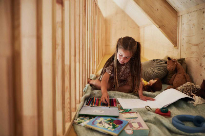 019 Prachtig 4 persoons vakantiehuis met sauna en hoogwaardige huisautomatisering in Appelscha