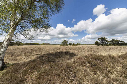 029 Prachtig 4 persoons vakantiehuis met sauna en hoogwaardige huisautomatisering in Appelscha