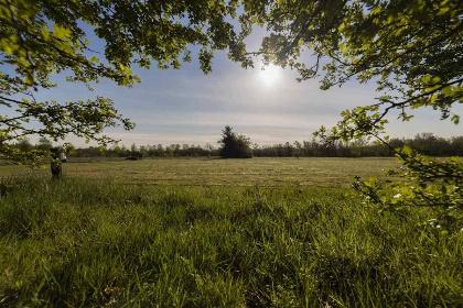 030 Prachtig 4 persoons vakantiehuis met sauna en hoogwaardige huisautomatisering in Appelscha