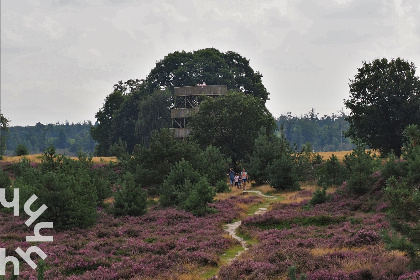 032 Uniek 5 pers vakantiehuis met prachtige tuin, in Nationaal Park Drents   Friese Wold