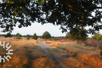 048 Uniek 5 pers vakantiehuis met prachtige tuin, in Nationaal Park Drents   Friese Wold