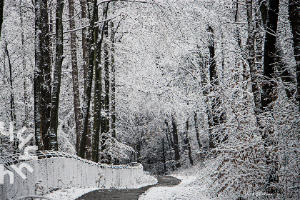 050 Uniek 5 pers vakantiehuis met prachtige tuin, in Nationaal Park Drents   Friese Wold