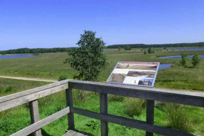 007 Huiselijke groepsaccommodatie met gratis WiFi in Bakkeveen te Friesland