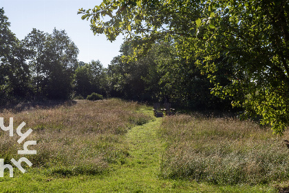 032 Sfeervol 2 pers. voorhuis aan de rand van Eernewoude in het Nationaal Park de Alde Feanen