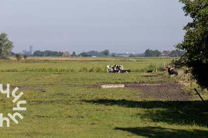 034 Sfeervol 2 pers. voorhuis aan de rand van Eernewoude in het Nationaal Park de Alde Feanen