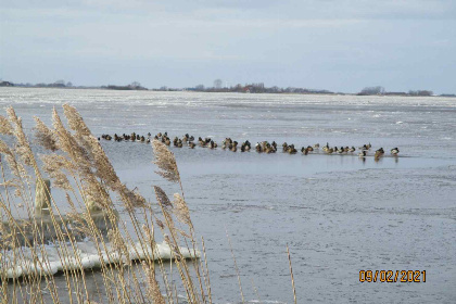 004 Heerlijk 6 persoons vakantiehuis aan het water in Friesland