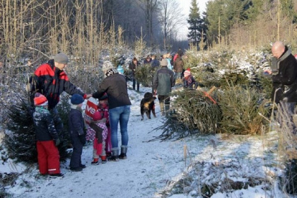 027 16 persoons groepslodge op Vakantiepark Eigen Wijze in Bant