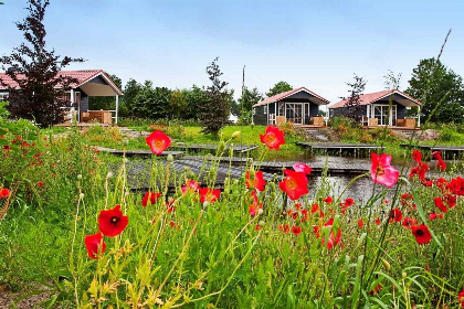 005 Gezellige 4 persoons lodge op vakantiepark Eigen Wijze