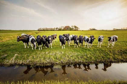 012 Prachtig gelegen groepsaccommodatie voor 16 personen in Friesland