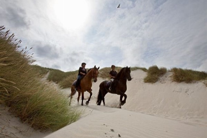 017 4 persoons chalet op Terschelling