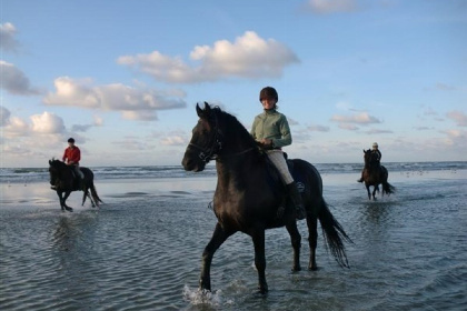 018 4 persoons chalet op Terschelling