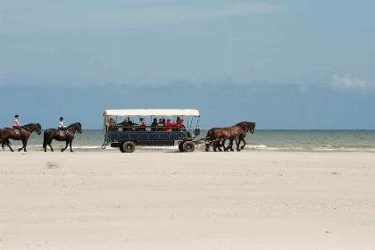 007 Heerlijk 5 persoons chalet gelegen op een familie camping in Midsland op Terschelling