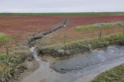 004 Prachtige 7 persoons woonboerderij met grote tuin en vrij uitzicht in Friesland