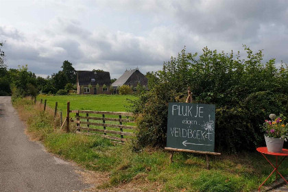 008 Prachtige 7 persoons woonboerderij met grote tuin en vrij uitzicht in Friesland