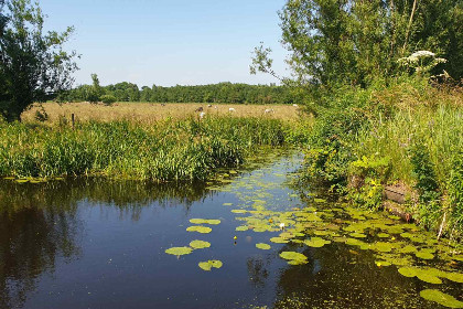 011 Prachtige 7 persoons woonboerderij met grote tuin en vrij uitzicht in Friesland