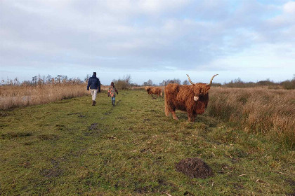 021 Prachtige 7 persoons woonboerderij met grote tuin en vrij uitzicht in Friesland