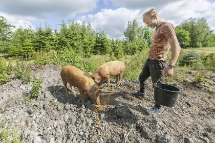 037 Prachtige 7 persoons woonboerderij met grote tuin en vrij uitzicht in Friesland