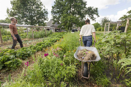 052 Prachtige 7 persoons woonboerderij met grote tuin en vrij uitzicht in Friesland