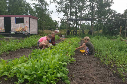 053 Prachtige 7 persoons woonboerderij met grote tuin en vrij uitzicht in Friesland