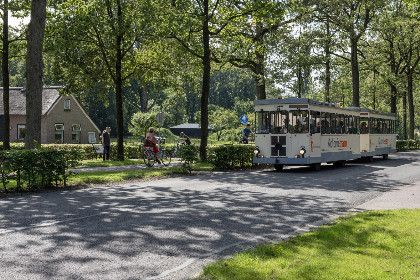 029 Vrijstaand vakantiehuis voor 8 personen in het Friese Noordwolde