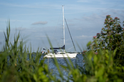 029 Houseboat 'Elysium' met eigen aanlegsteiger   Paviljoenwei 4 14 | Sneek (Offingawier)