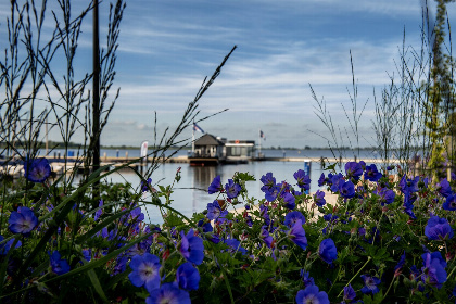 032 Houseboat 'Elysium' met eigen aanlegsteiger   Paviljoenwei 4 14 | Sneek (Offingawier)