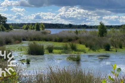 008 4 persoons chalet met eigen vlonder aan het Goudmeer nabij het Drents Friese Wold