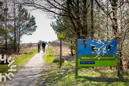 017 Heerlijk 4 persoons chalet nabij het Drents Friese Wold en het Fochteloerveen