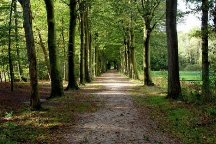 008 mooie vrijstaande bungalow voor 7 personen in Friesland