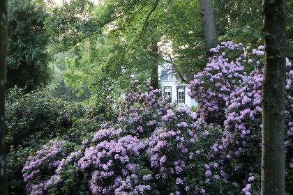 007 Prachtige, ruim ingerichte 6 persoons woonboerderij in Oudeschoot nabij Oranjewoud