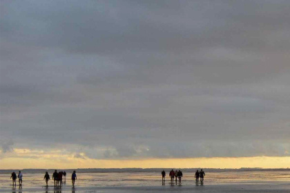 014 Uniek gelegen 11 persoons vakantiehuis aan de Waddenzee