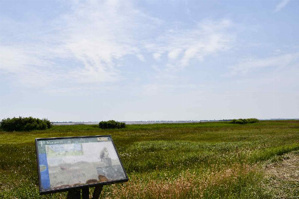 022 Combinatie van twee landelijk gelegen 5 persoons vakantiehuizen nabij het Tjeukemeer