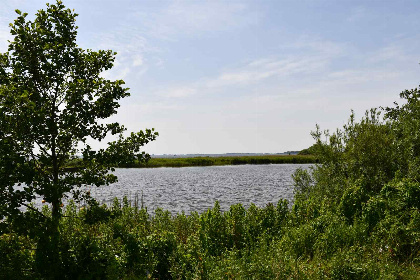 026 Knus 4 persoons vakantiehuis met heerlijke tuin in het Friese Rohel, nabij het Tjeukemeer