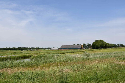 013 Prachtig landelijk gelegen 5 persoons vakantiehuis met grote tuin nabij het Tjeukemeer