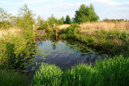045 4 persoons vakantiehuis op een vakantiepark in Scherpenzeel