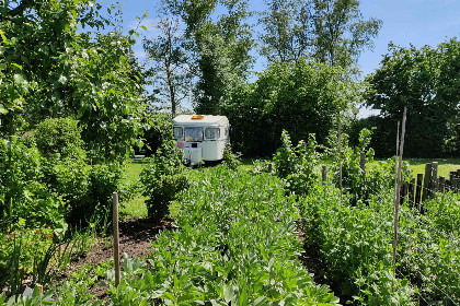 020 Cabin voor twee personen met hottub op een vakantiepark in Scherpenzeel