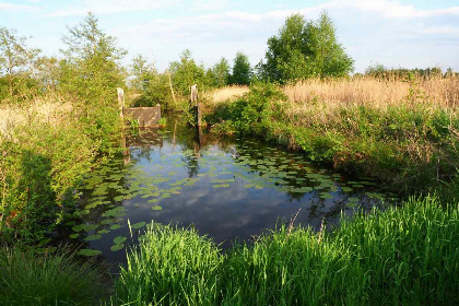 042 Cabin voor twee personen met hottub op een vakantiepark in Scherpenzeel