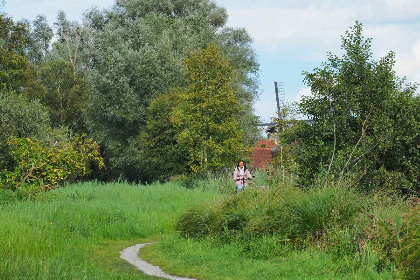 052 Tiny House voor 4 personen op een vakantiepark in Scherpenzeel