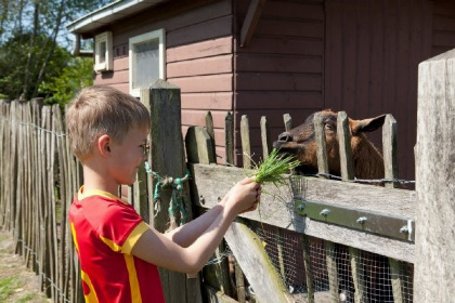 022 Comfortabel 6 persoons vakantiebungalow op mooi gezinspark met zwemvijver