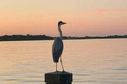 001 Prachtig gelegen 4 persoons house boat aan het Sneekermeer in Friesland