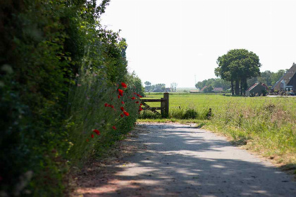 030 Comfortabel 6 persoons vakantiehuis in Sondel, gelegen op kleinschalig vakantiepark