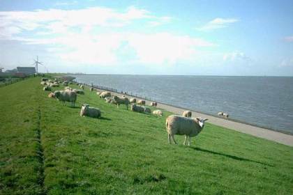 049 Mooi 6 persoons vakantiehuis dichtbij de Waddenzee