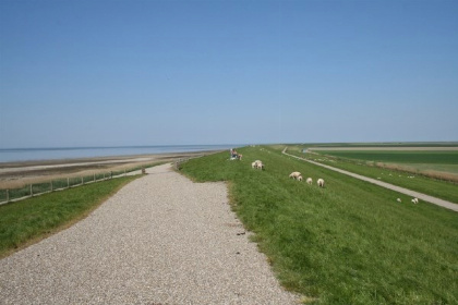 068 Mooi 6 persoons vakantiehuis dichtbij de Waddenzee