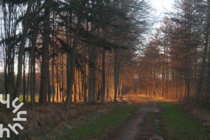 037 Uniek gelegen 2 tot 5 persoons vakantiehuis in Zuidoost Friesland