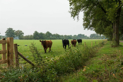 032 Boshoeve   luxe wellness vakantiehuis in de natuur