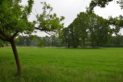 013 Huus in t Hagt
