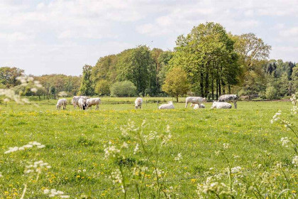 018 Prachtig gelegen 18 persoons groepsaccommodatie aan de grens bij Aalten